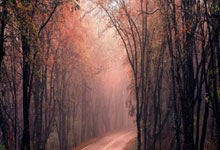 [英超]新帅靠老将 利物浦取得开门红.