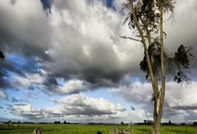 九游会体育:在这也能遇到!网红主播张琪格现场观看国足比赛.