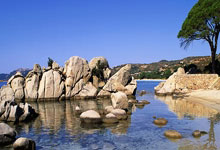 斯基拉:米兰正在关注维罗纳岁中后卫科波拉.